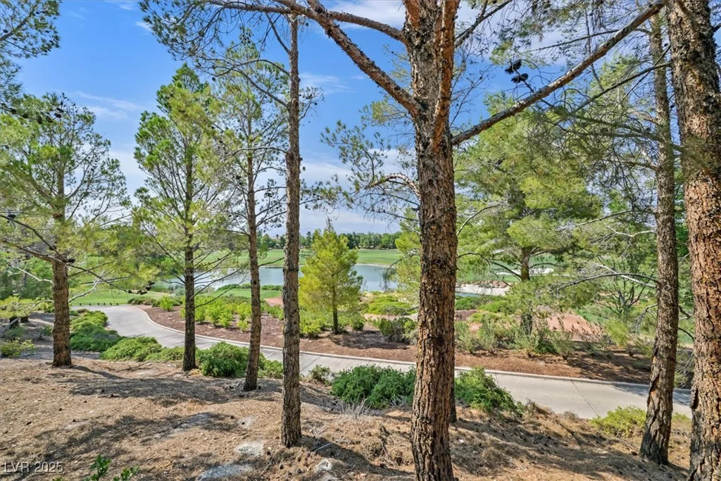 11772 CANONS BROOK, Las Vegas, NV 89141