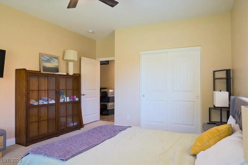 1537 Mount Charleston, Pahrump, NV 89048