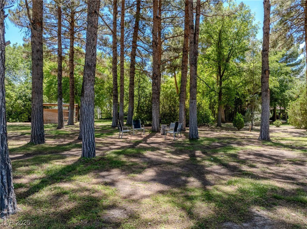 2221 Windsong, Pahrump, NV 89048