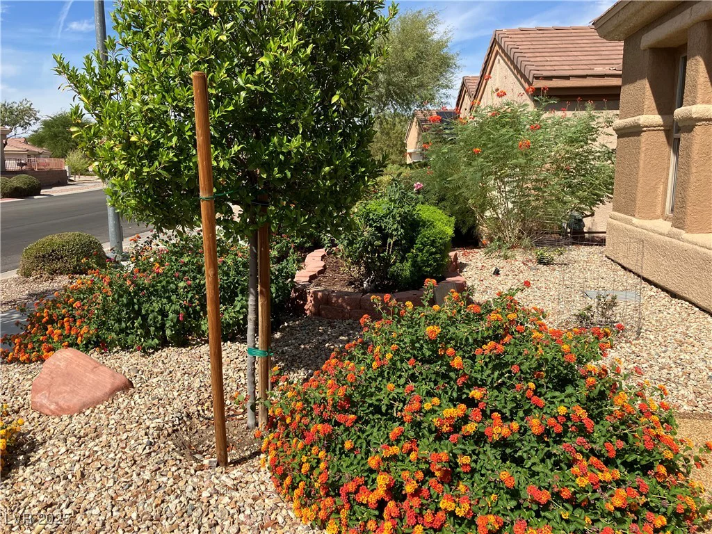 2026 High Mesa, Henderson, NV 89012