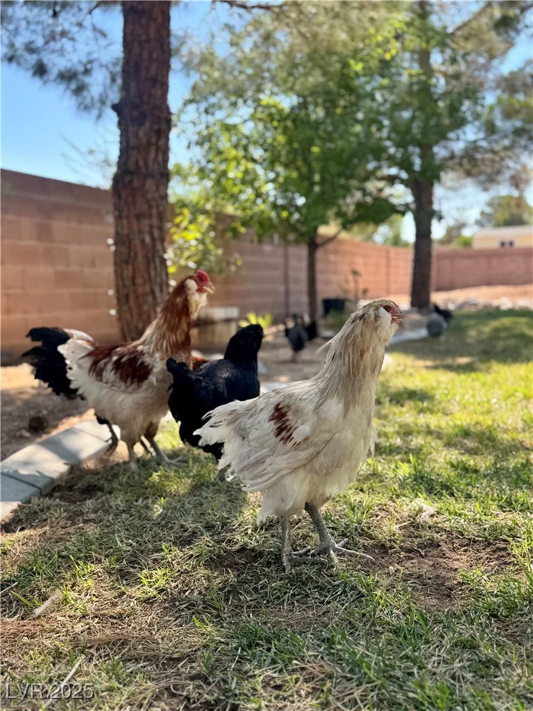 8745 Cimarron, Las Vegas, NV 89113
