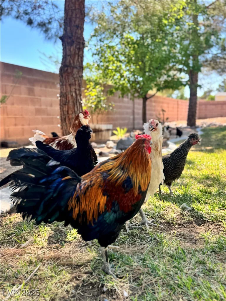 8745 Cimarron, Las Vegas, NV 89113