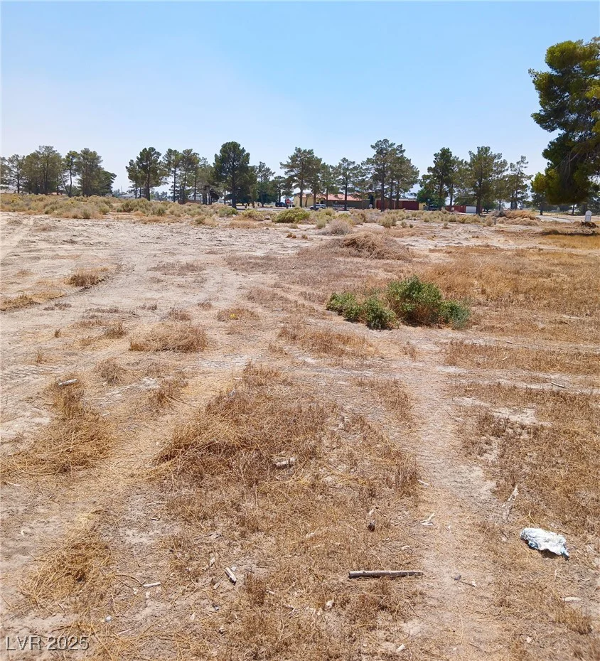 590 San Lorenzo, Pahrump, NV 89048