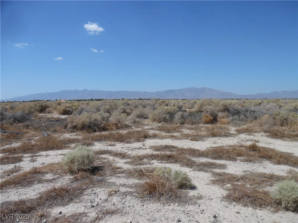 2001 Casino, Pahrump, NV 89048
