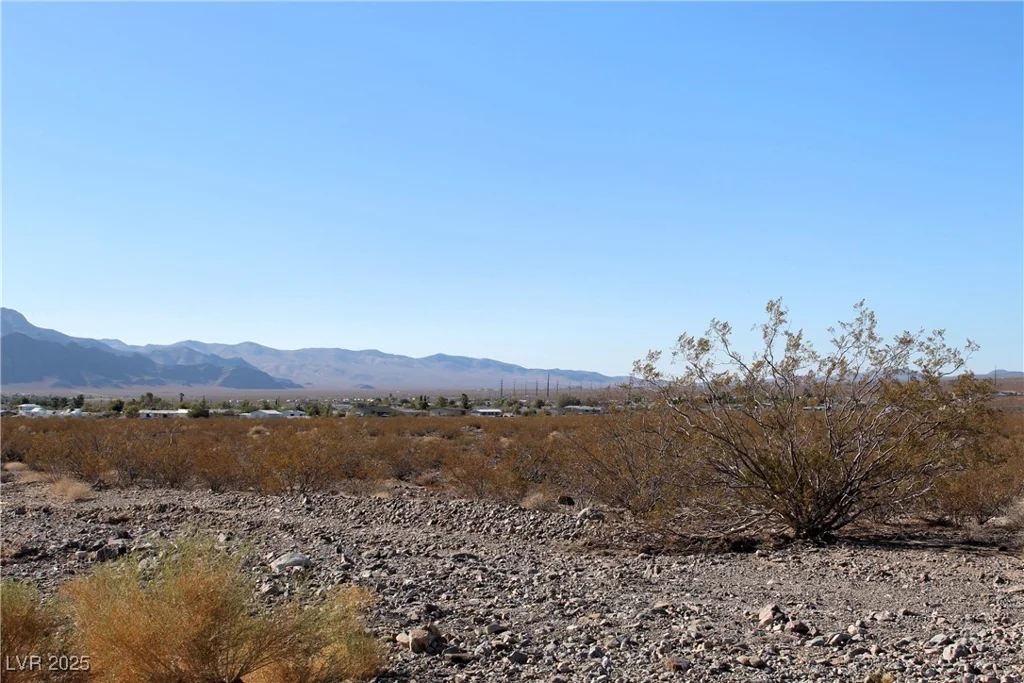 1130 Harris Farm, Pahrump, NV 89060