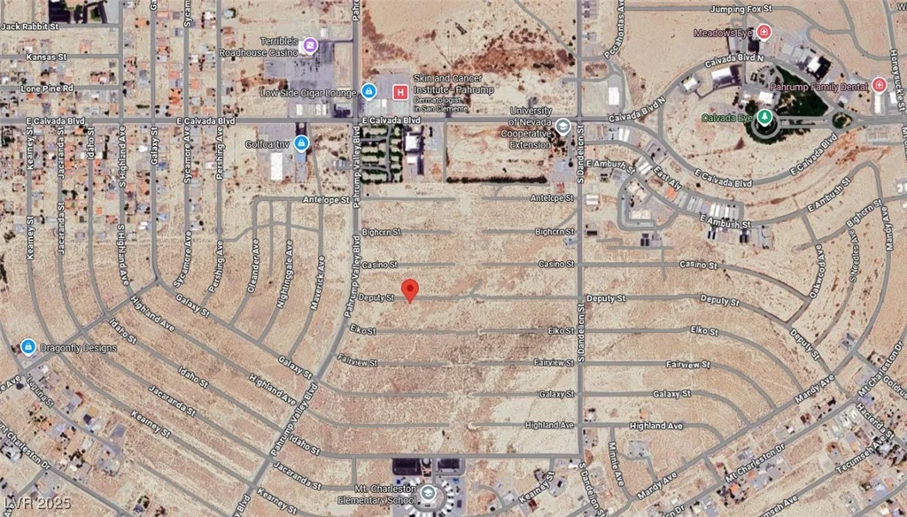 1491 Deputy, Pahrump, NV 89048