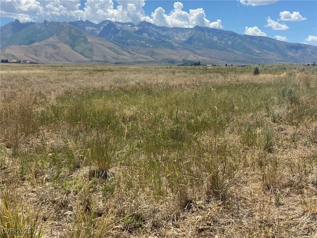 Parcel, Elko, NV 89828