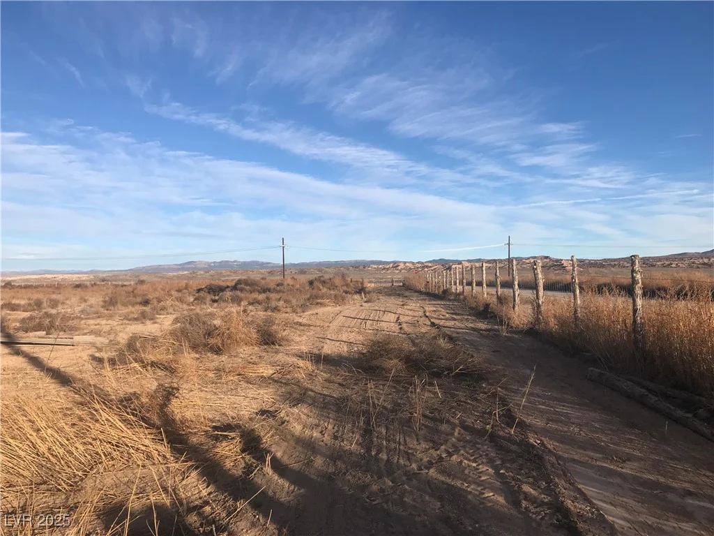 Quarter Horse, Caliente, NV 89008