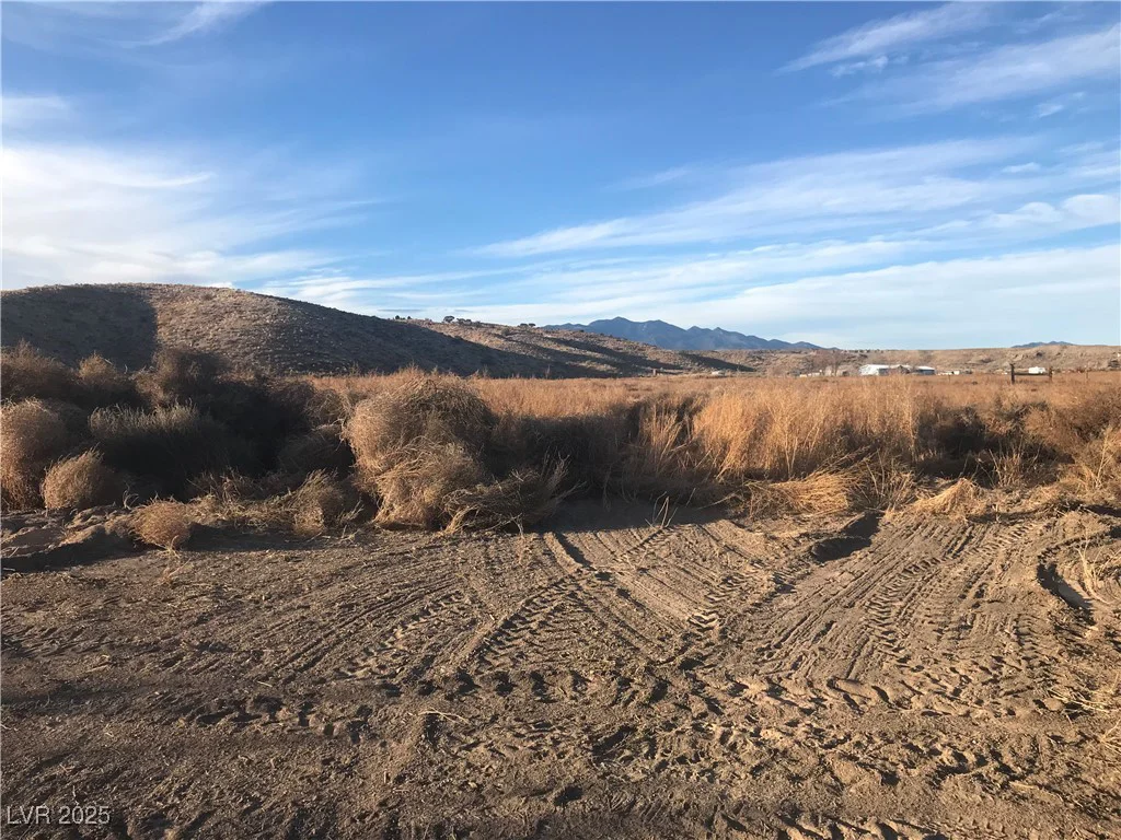 Quarter Horse, Caliente, NV 89008