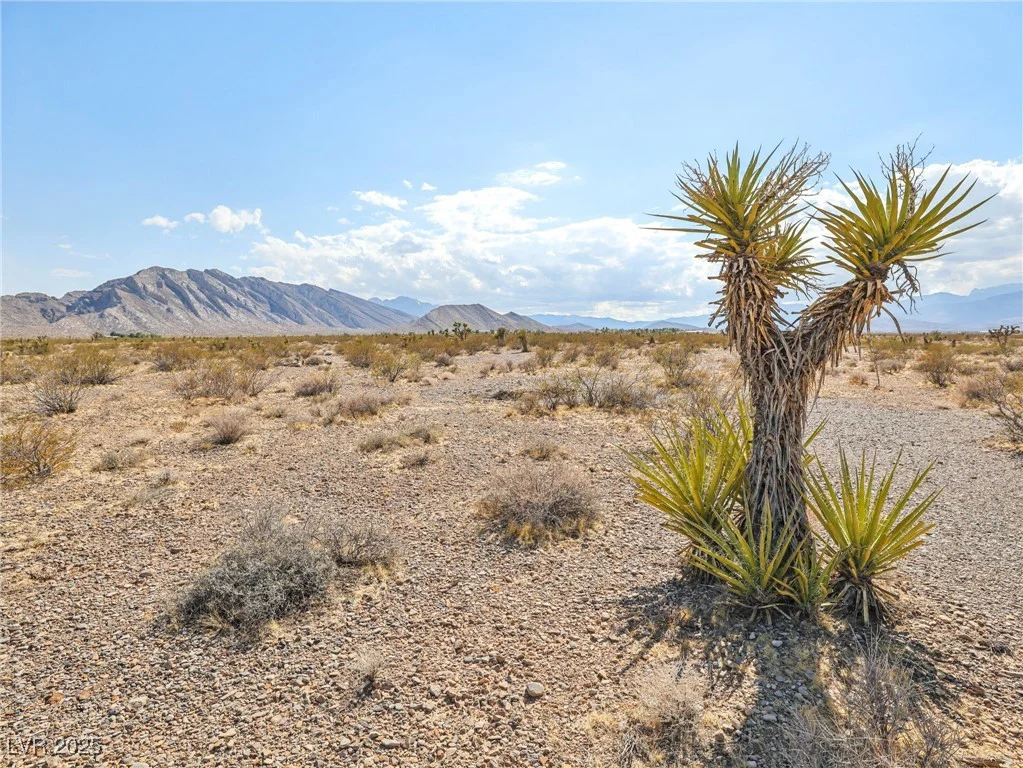 Pringle, Las Vegas, NV 89166