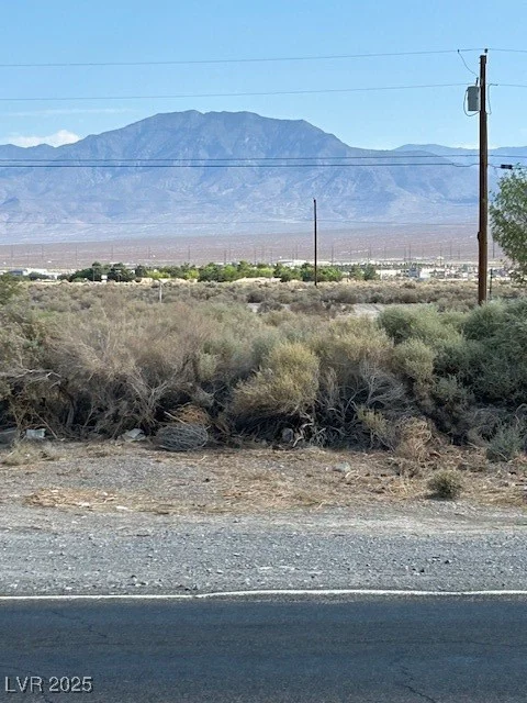 1980 Mount Charleston, Pahrump, NV 89048