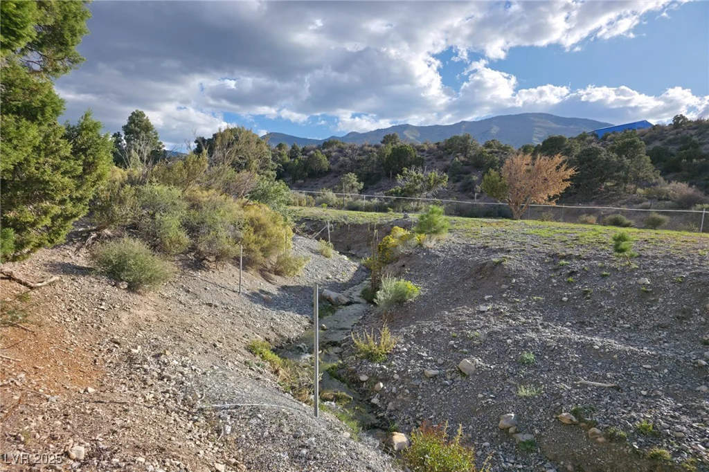 Bugling Bull, Cold Creek, NV 89124