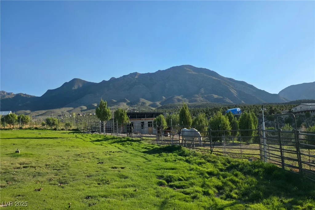 Bugling Bull, Cold Creek, NV 89124