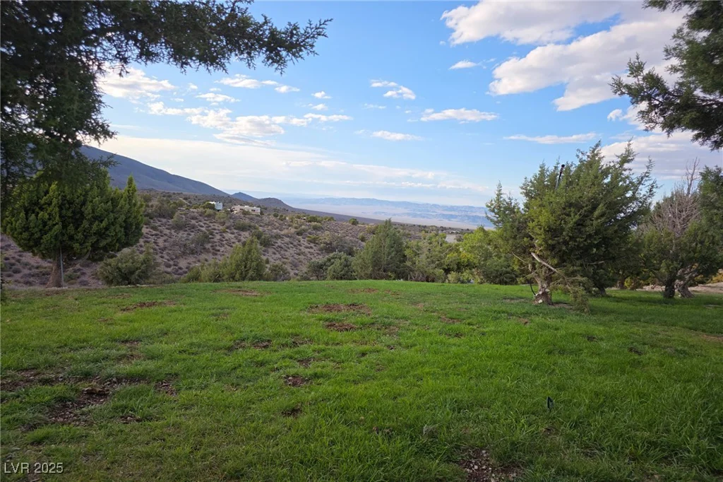Bugling Bull, Cold Creek, NV 89124