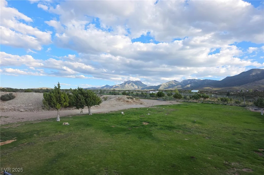 Bugling Bull, Cold Creek, NV 89124