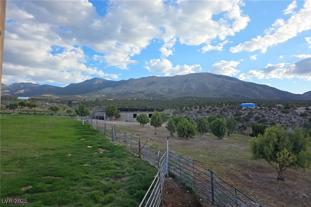 Bugling Bull, Cold Creek, NV 89124