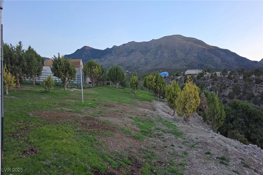 Bugling Bull, Cold Creek, NV 89124