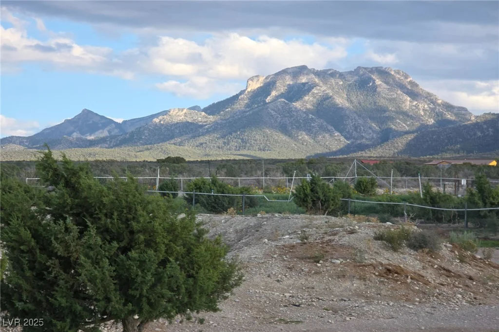 Bugling Bull, Cold Creek, NV 89124