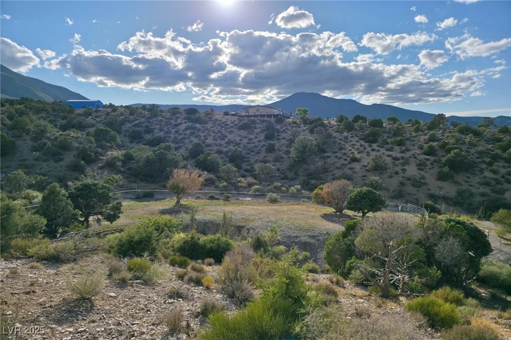 Bugling Bull, Cold Creek, NV 89124
