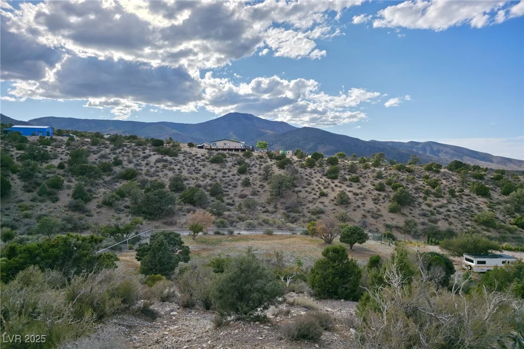 Bugling Bull, Cold Creek, NV 89124
