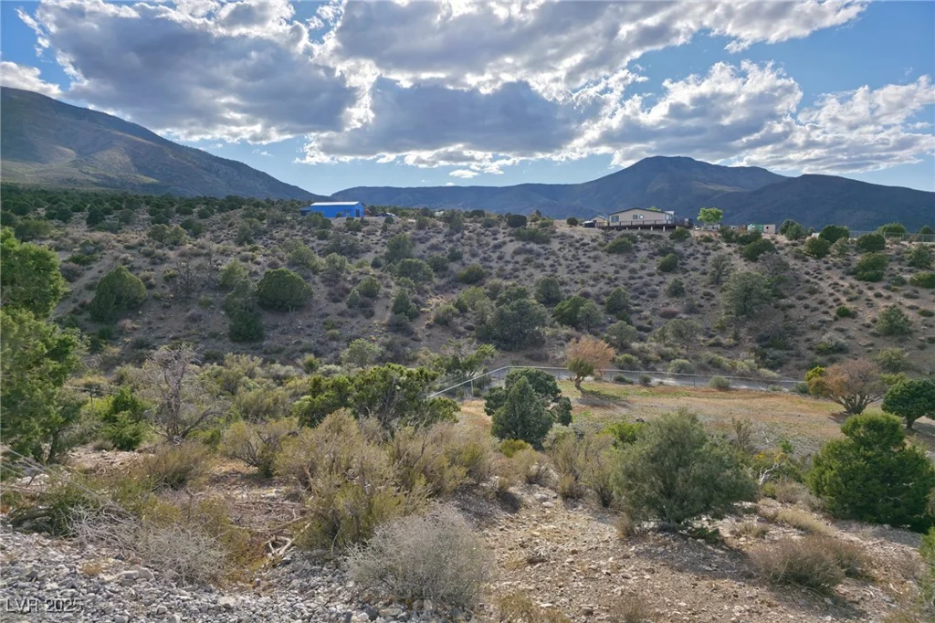 Bugling Bull, Cold Creek, NV 89124