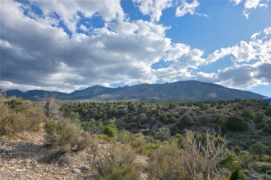 Bugling Bull, Cold Creek, NV 89124