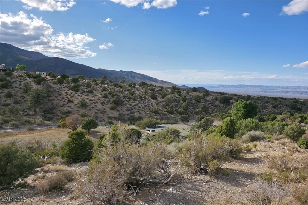 Bugling Bull, Cold Creek, NV 89124