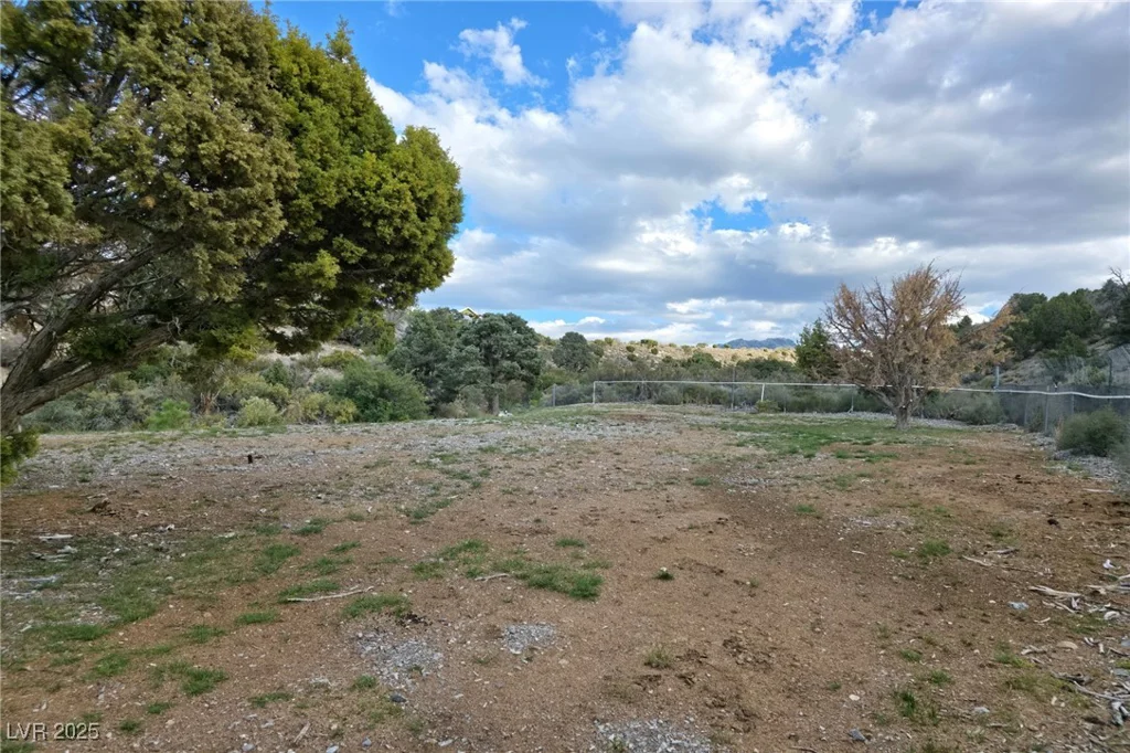 Bugling Bull, Cold Creek, NV 89124