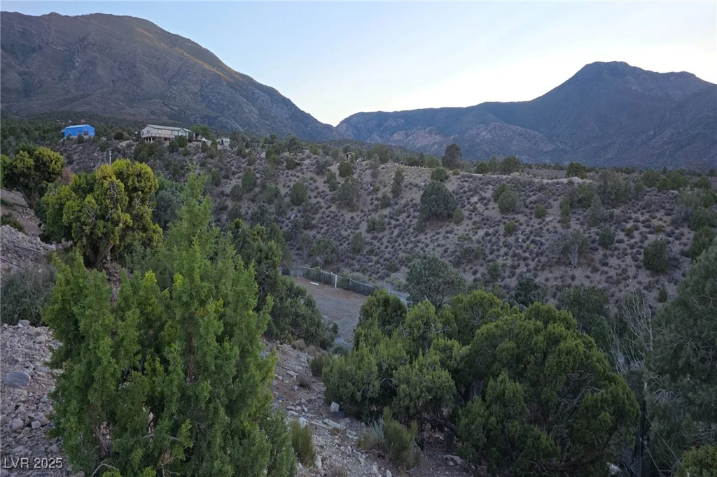Bugling Bull, Cold Creek, NV 89124