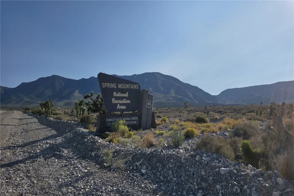Bugling Bull, Cold Creek, NV 89124