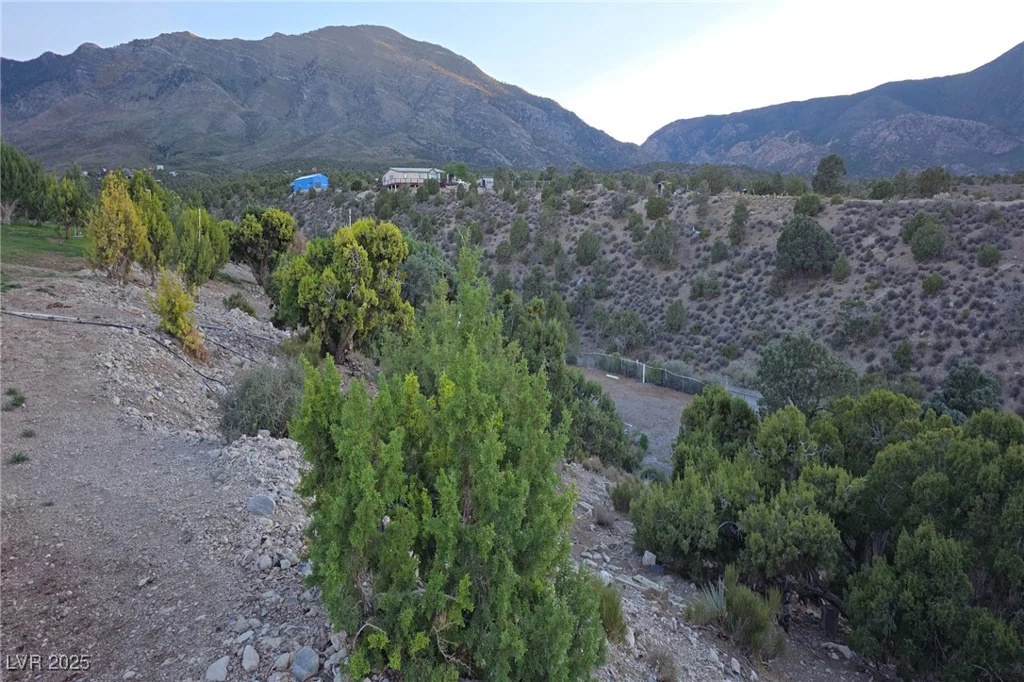 Bugling Bull, Cold Creek, NV 89124
