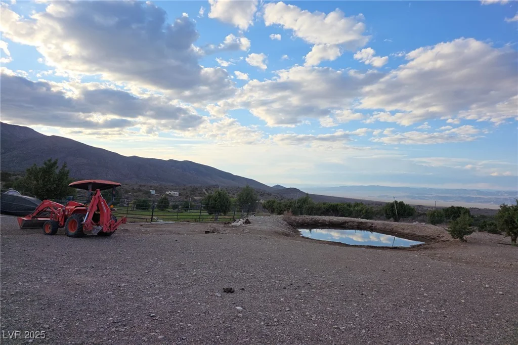 Bugling Bull, Cold Creek, NV 89124