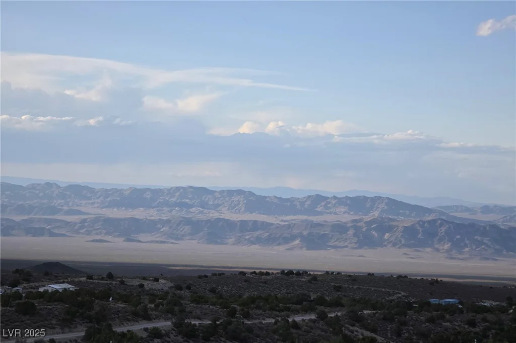 Bugling Bull, Cold Creek, NV 89124