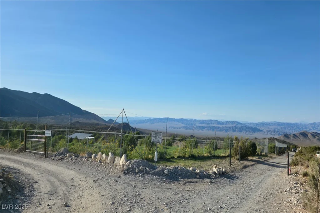 Bugling Bull, Cold Creek, NV 89124