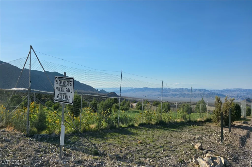 Bugling Bull, Cold Creek, NV 89124