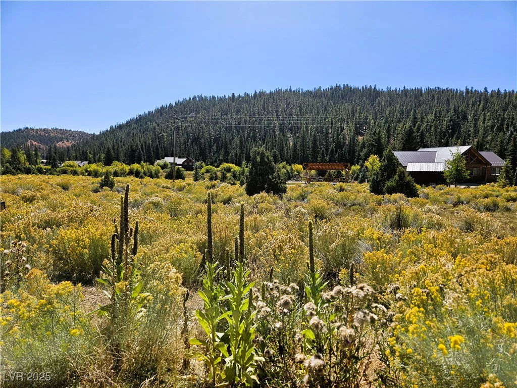 776 Aspen Meadow, Mammoth Creek, UT 84735