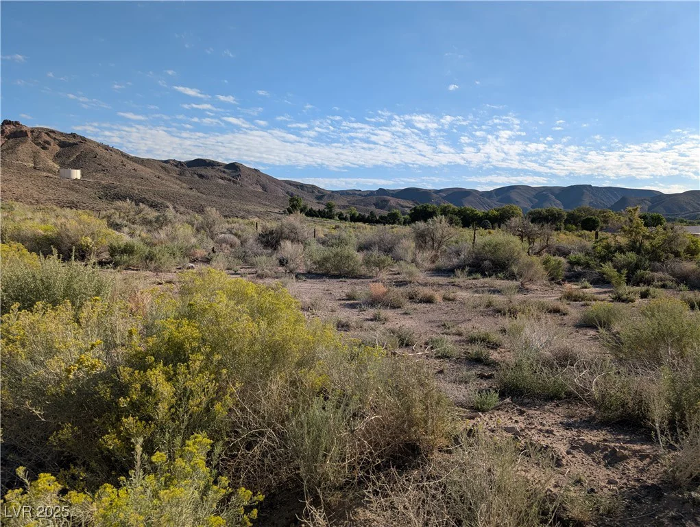 US Hwy 93 (15.92 AC), Caliente, NV 89008