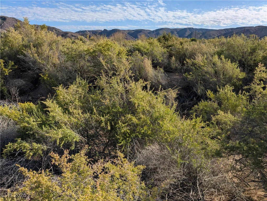 US Hwy 93 (15.92 AC), Caliente, NV 89008