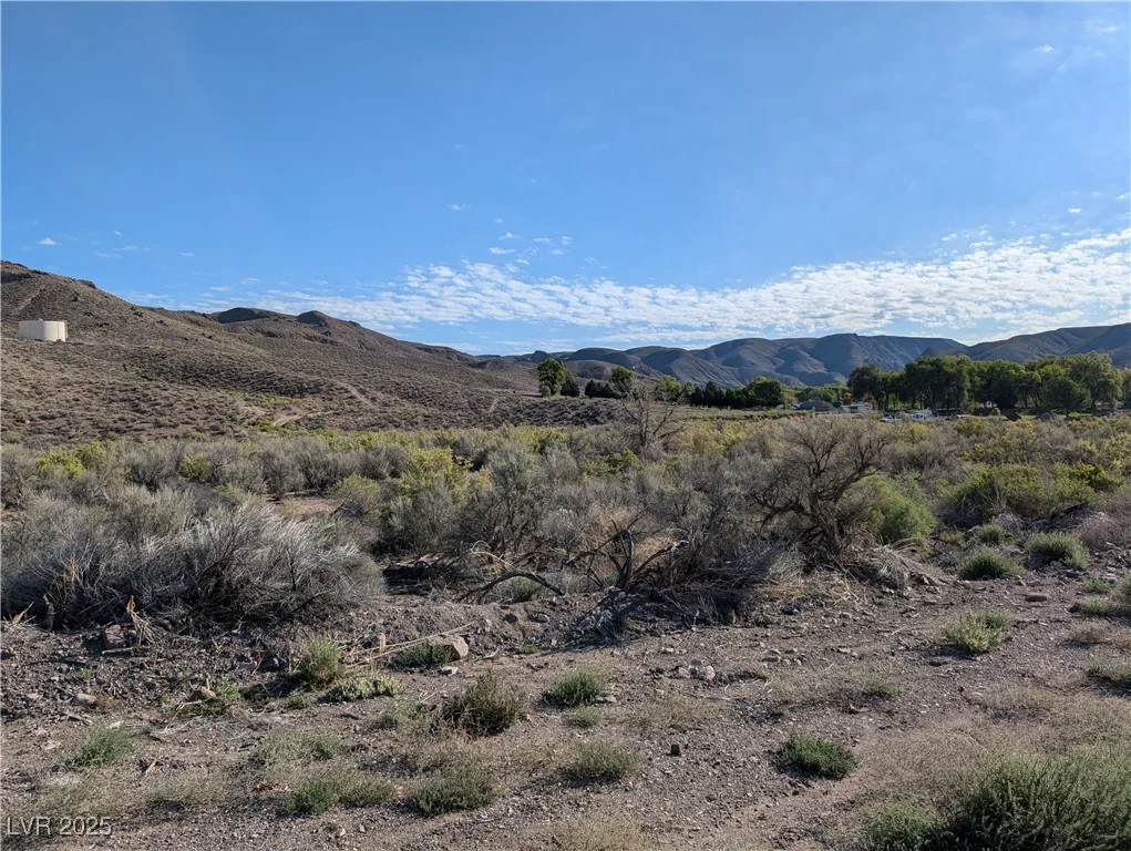 US Hwy 93 (19.14 Ac), Caliente, NV 89008