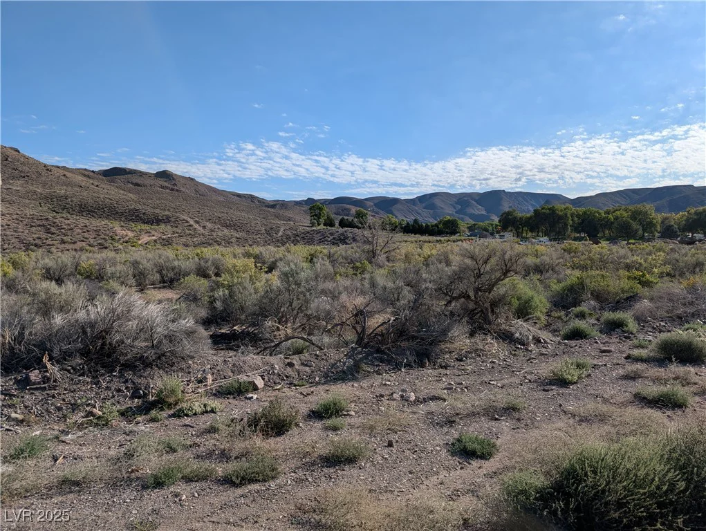 US Hwy 93 (19.14 Ac), Caliente, NV 89008