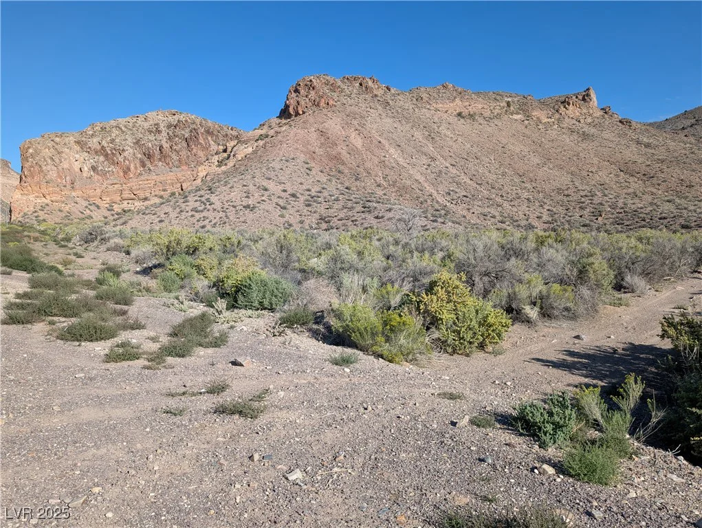 US Hwy 93 (19.14 Ac), Caliente, NV 89008