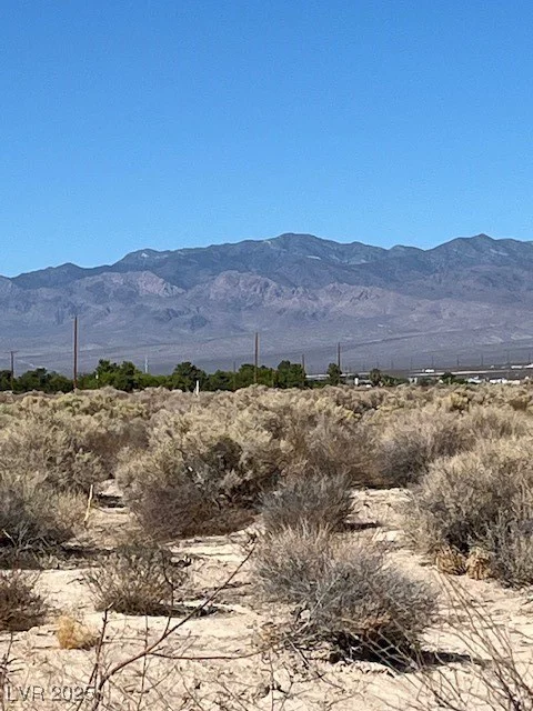 1300 Jacaranda, Pahrump, NV 89048