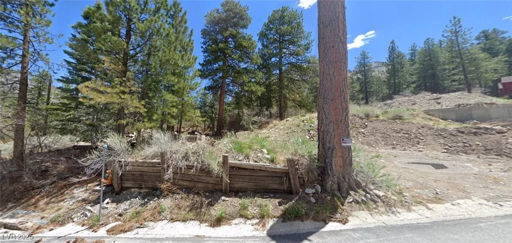 204 Rainbow Canyon, Mount Charleston, NV 89124
