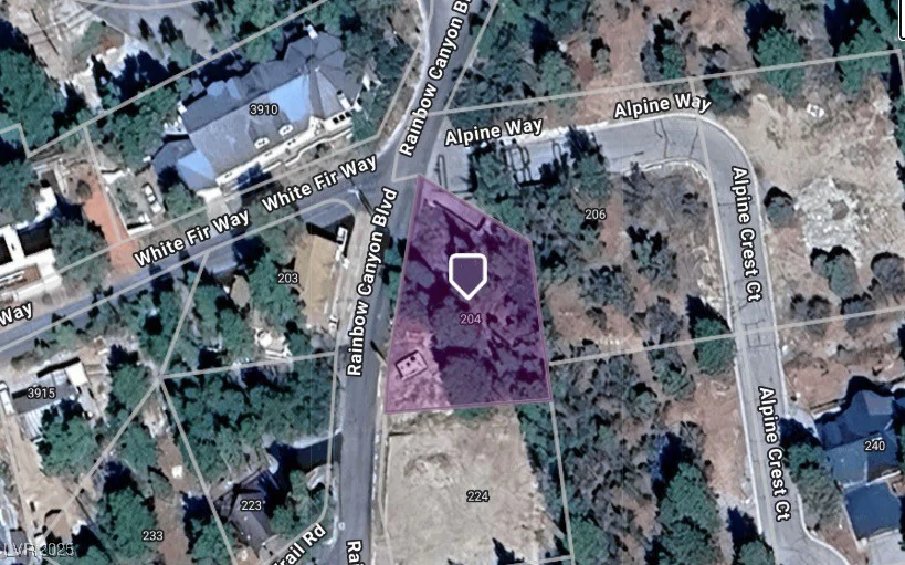204 Rainbow Canyon, Mount Charleston, NV 89124