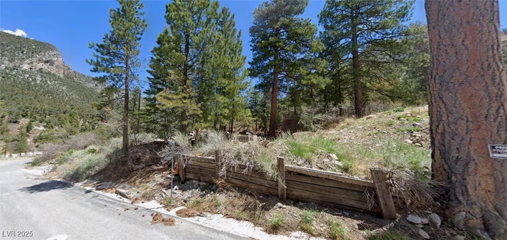204 Rainbow Canyon, Mount Charleston, NV 89124