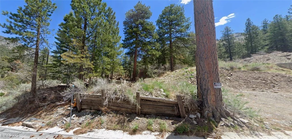 204 Rainbow Canyon, Mount Charleston, NV 89124
