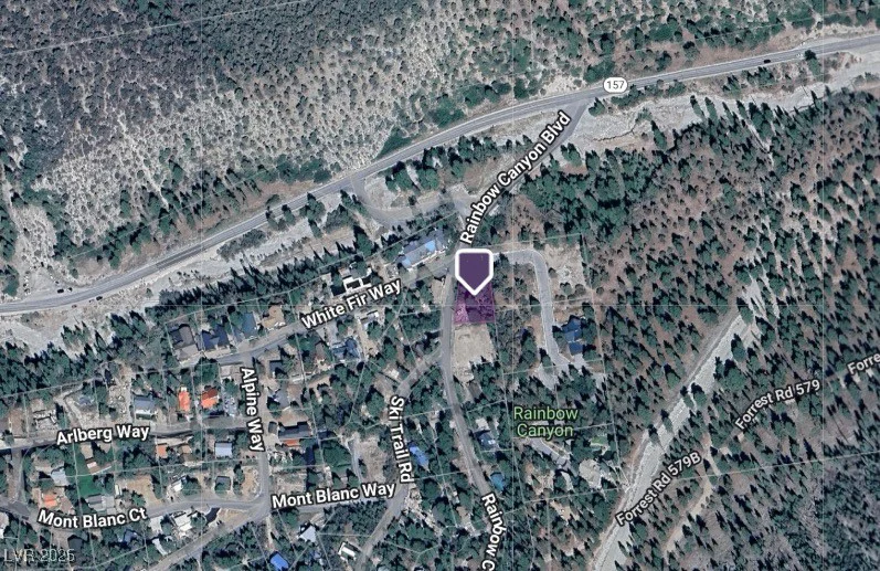204 Rainbow Canyon, Mount Charleston, NV 89124