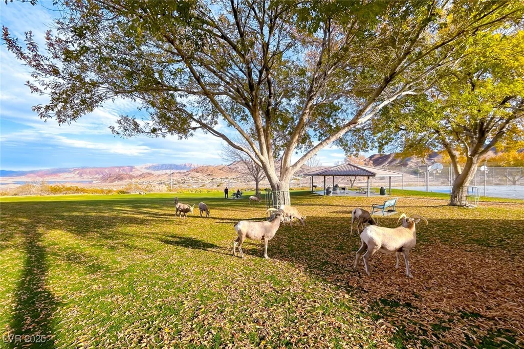 386 Nassau, Boulder City, NV 89005