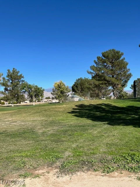 3161 Burning Tree, Pahrump, NV 89048