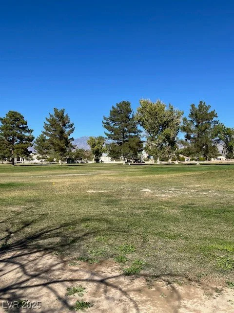 3161 Burning Tree, Pahrump, NV 89048